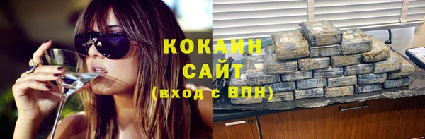 дживик Балахна